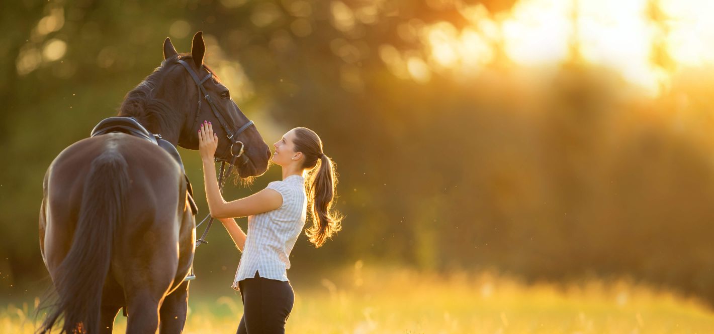 Frau und Pferd blicken sich liebevoll an - Symbolbild für ganzheitliche Pferdegesundheit mit Akupunktur, Massage und Taping in Hamburg und Niedersachsen